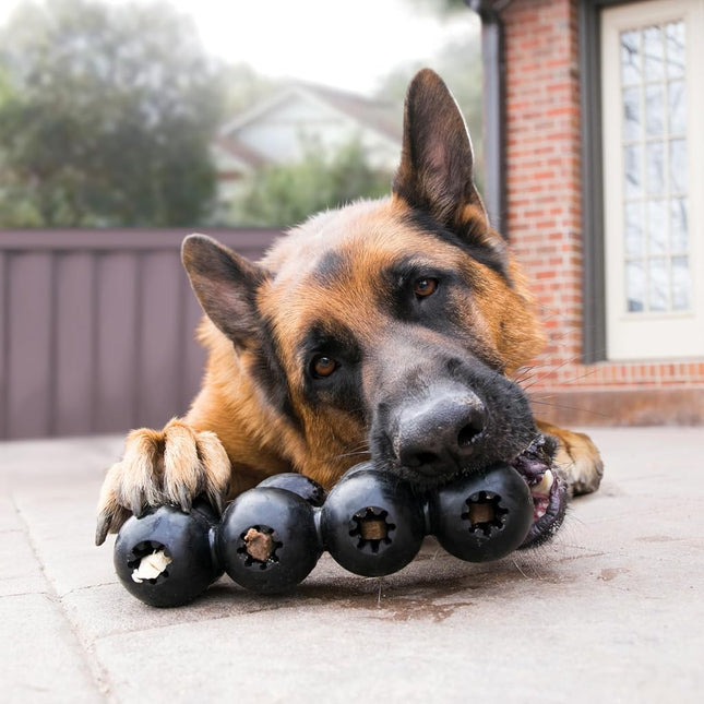 Kong Extreme Goodie Ribbon Dog Toy, Medium
