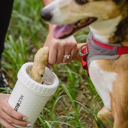 Dexas MudBuster Portable Dog Paw Washer/Paw Cleaner, Medium, Bright White- Special Edition
