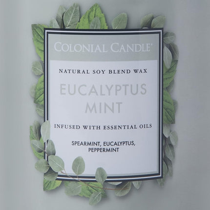 Colonial Candle Eucalyptus Mint Scented Jar Candle, Classic Cylinders Collection, 2 Wick, Green, 19 oz - Up to 120 Hours Burn