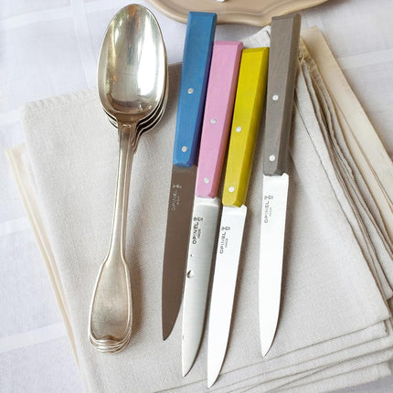 OPINEL No. 125 Table Knives Set, 4-Piece Set, High-Carbon Steel Dinner Knives for Parties, Entertaining, or Everyday Use, Painted Handles, Made in France (Countryside)