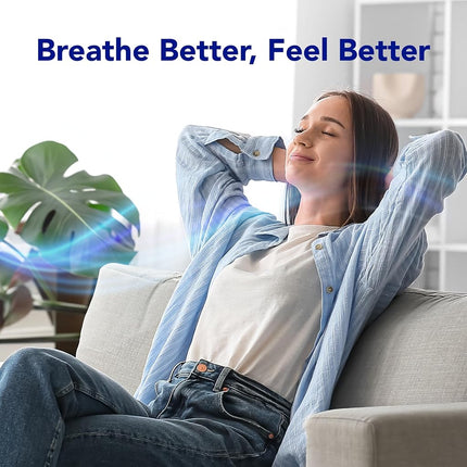 Kaz inc - v1200-6 - vicks personal steam inhaler