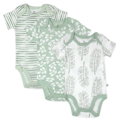 HonestBaby Multipack Bodysuits de Manga Corta de Una Pieza 100% Algodón Orgánico para Bebés Niños, Niñas, Unisex, Paquete de 3 Hojas Gigantes Salvia, 12 Meses, Hojas Gigantes Salvia, 12 Meses