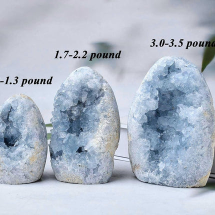FZBHRO Natural Blue Celestite Cluster Geode Healing Crystal Stone Collection Mineral Specimen Home Office Decor Meditation Gifts 0.4-0.6 Pound