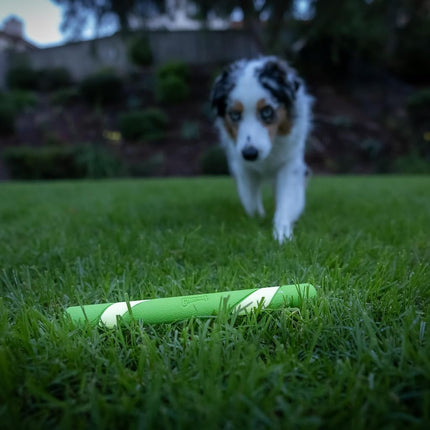 Chuckit! Juguete para perro Max Glow Ultra Fetch Stick para exteriores, 30 cm, para todas las razas