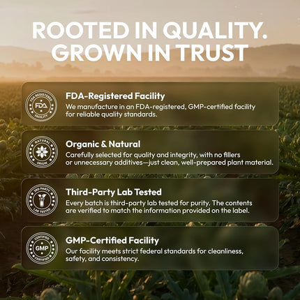 Secrets of the Tribe Artichoke USDA Organic | Alcohol-Free Extract, High-Potency Herbal Drops | Made from 100% Certified Organic Artichoke (Cynara scolymus) Dried Leaf 4 oz