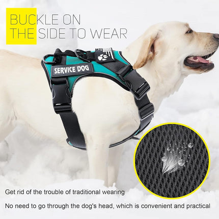 Demigreat Dog Harness, Reflective, Adjustable, Durable, Large (Chest 22.83-38.58 in, Neck 16.14-24.41 in), Turquoise, Safety, Practical, Comfort