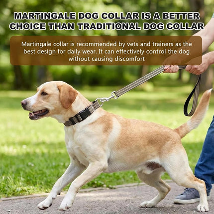 Martingale Collar for Dogs,Reflective Escape Proof,Brown,L