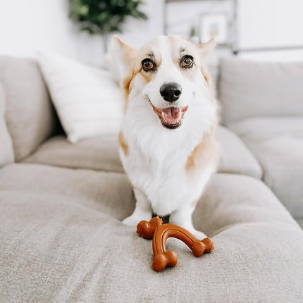 Nylabone Ergonomic Hold & Chew Wishbone Power Chew Durable Dog Toy Small - Up to 25 lbs.