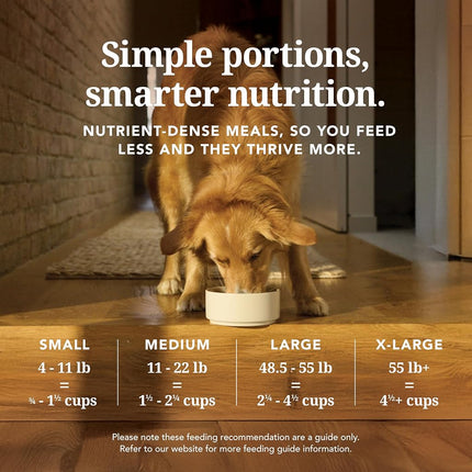 K9 Natural Hoki & Beef Freeze-Dried Dog Food, Grain-Free, 500g
