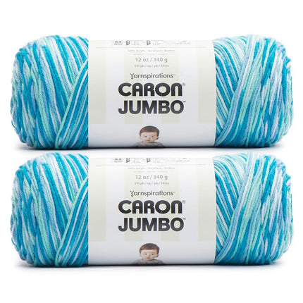 Caron Jumbo Blue Raspberry Yarn - 2 Pack of 340g/12 oz - 100% Acrylic - #4 Worsted (Medium) - 595 Yards - Knitting/Crochet