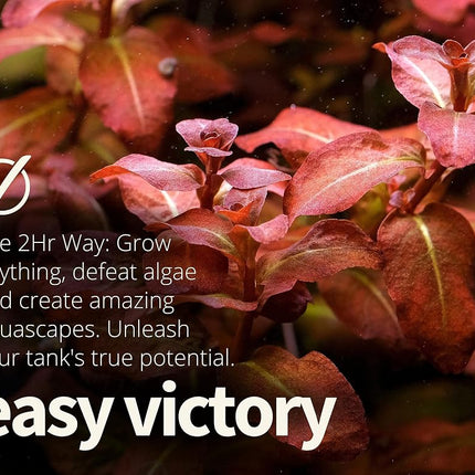 THE 2HR AQUARIST All-in-One APT 1/Zero for Planted Aquariums (1000ml)