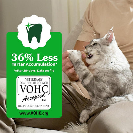Feline GREENIES Natural Dental Care Cat Treats Oven Roasted Chicken Flavor, 21 oz. Tub