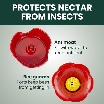 Perky-Pet 203CPBN-2 Glass Hummingbird Feeders for Outdoors with Perches, Ant Moat, Bee Guards - Pack of 2