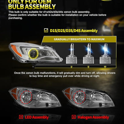 Cougar Motor D3S Ampoule HID 6500K Feu Anti-Brouillard Blanc - Ampoules Xénon Codes/Phares avec Base à Stents Métalliques, Lot de 2