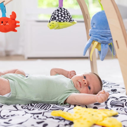 Melissa & Doug Ocean Easy-Fold Play Gym Developmental Toy for Infants, Reversible Mat, 5 Soft Toys, Birth to 9 Months