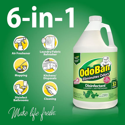 Concentré désodorisant et désinfectant KEXMY Odoban