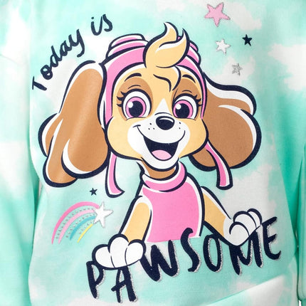 Paw Patrol Skye Toddler Girls Pullover Crossover Fleece Hoodie and Leggings Outfit Set Blue/White 2T