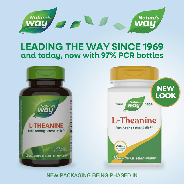 Enzymatic Therapy ENZ Therapy L-Theanine 180 Veg Caps, 1 Units