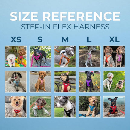 Best Pet Supplies Voyager Adjustable Dog Harness Leash Set with Reflective Stripes for Walking Heavy-Duty Full Body No Pull Vest with Leash D-Ring, Breathable All-Weather Wear - Army Base, XL