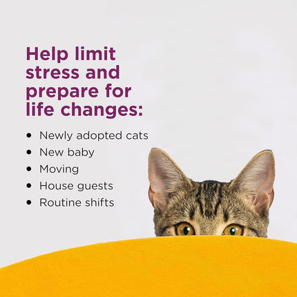 Comfort Zone Cat Calming Diffuser Refills: 6 Pack