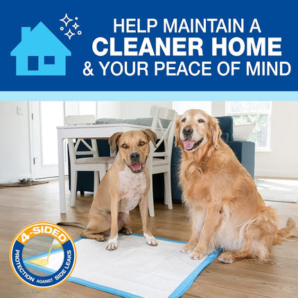 Four Paws Wee-Wee Superior Performance Pee Pads for Dogs - Dog & Puppies, with 6-Layer Leak Proof Technology, for House Training – Extra Large, 71cm x 86cm (28" x 34"), (21 Count)