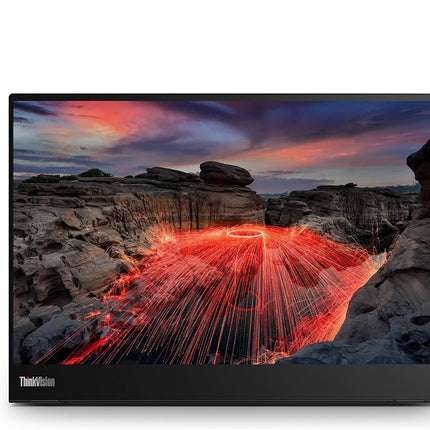 ThinkVision M14t Gen2 14-inch Monitor