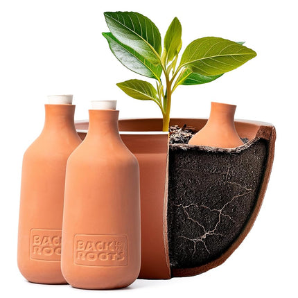 Back to The Roots Self-Watering Terracotta Olla Pot (Pack of 3), 700mL Provides 1 Week of Precision Watering