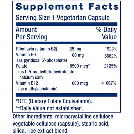 Life Extension Homocysteine Resist, 60 Vegetarian Capsules