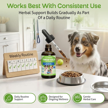 Pet Wellbeing Throat Gold for Dogs - Natural Herbal Cough, Throat and Respiratory Support for Dogs - 2 oz(59ml)