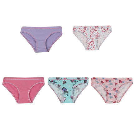 Hanes Ultimate Niñas Paquete de 5 Pantis Bóxer de Algodón Elástico, Surtido, 8