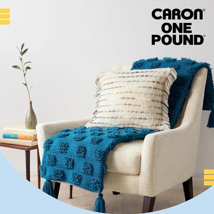 Caron One Pound Grass Green Yarn - 2 Pack of 454g/16oz - Acrylic - 4 Medium (Worsted) - 812 Yards - Knitting/Crochet