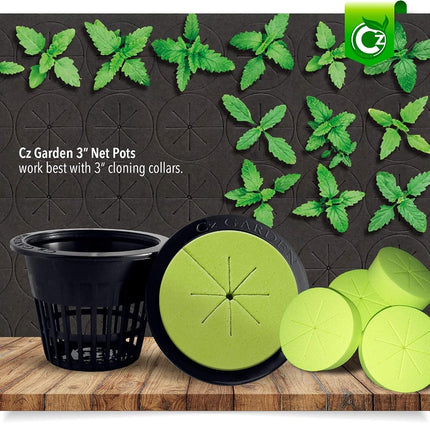 Cz Garden Supply Paniers en filet de 3 pouces à jante large, robustes - Orchidées • Aquaponie • Aquaculture • Hydroponie Mailles fendues pour bocaux Mason à large ouverture Kratky