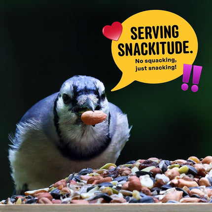 Cool Birds Nut & Fruit Wild Bird Seed – 10 lb. Gourmet Bird Food with Sunflower Hearts, Peanuts, Tree Nuts & Real Fruit – No Corn, Milo or Millet Bird Seed for Outside Feeders
