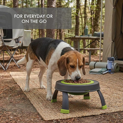 Dexas Popware for Pets Single Elevated Pet Feeder, Large, Gray/Green