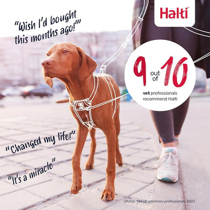 Halti Dog Training Harness, Black