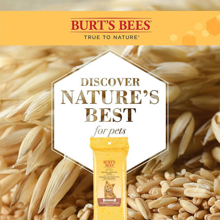 Burt's Bees for Pets for Cats Natural Dander Reducing Wipes | Kitten and Cat Wipes for Grooming, | 50 Count Cat Wipes for Dander Control - 6 Pack (300 Wipes Total)