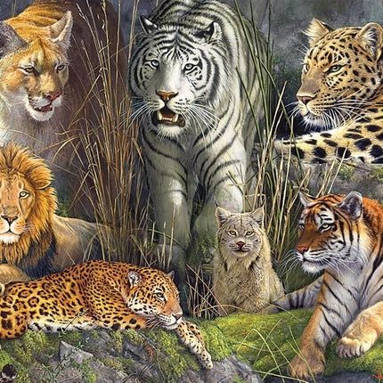 Buffalo Games - James Hautman - Big Cat Collage - Puzzle de 1000 pièces pour adultes - Un puzzle stimulant parfait pour les soirées jeux - Taille finale : 68 x 50 cm