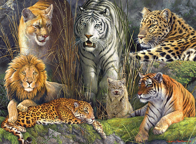 Buffalo Games - James Hautman - Big Cat Collage - 1000 Piece Jigsaw Puzzle for Adults -Challenging Puzzle Perfect for Game Nights - Finished Size is 26.75 x 19.75
