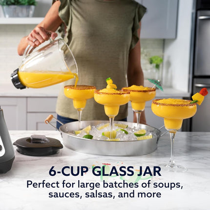 Oster Blender