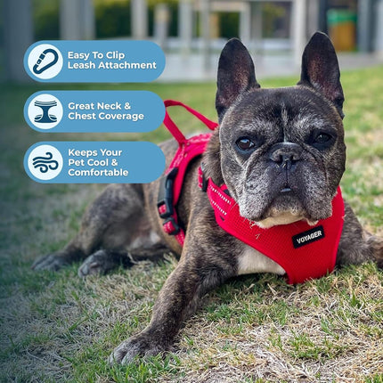 Best Pet Supplies Voyager Adjustable Dog Harness Leash Set with Reflective Stripes for Walking Heavy-Duty Full Body No Pull Vest with Leash D-Ring, Breathable All-Weather Wear - Red, XL