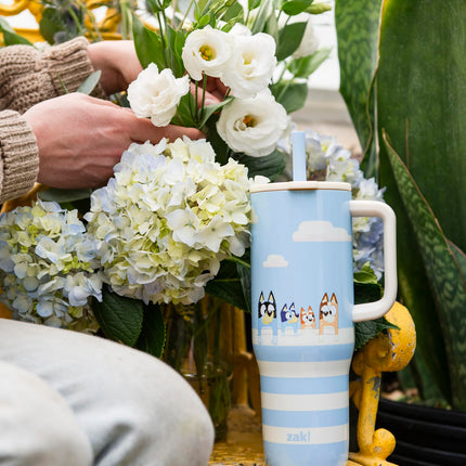 Vaso de viaje Sutton de Bluey de Zak Designs para llevar, de acero inoxidable de 887 ml con aislamiento al vacío, pajita de silicona y asa para bebidas frías (Bluey, Bingo, Bandit, Chilli)