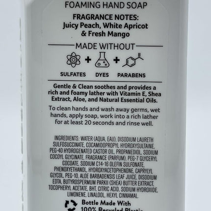 Bath and Body Works Gentle & Clean Foaming Hand Soap, 8.75 fl. oz. (Peach Bellini, 2-Pack)