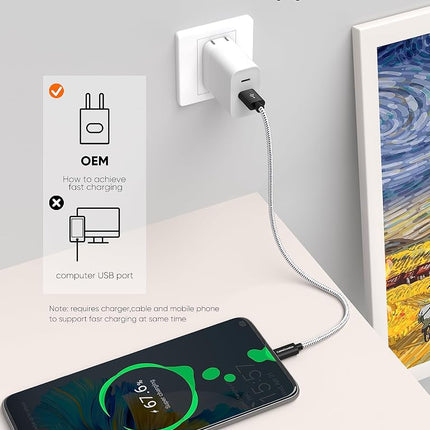 CableCreation 1FT USB A to USB C Fast Charging Braided Cable for Power Bank, Galaxy S23/S22/S21, iPad Pro/Pro Mini, Black