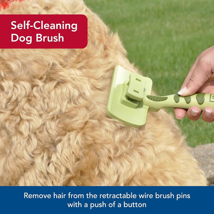 Coastal Pet Safari Dog Self-Cleaning Slicker Brush - Dog Deshedding Brush - Prevents Mats and Tangled Hair - For Dogs with Short or Long Hair - Large - 8" x 4.5"