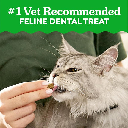 Feline GREENIES Natural Dental Care Cat Treats Oven Roasted Chicken Flavor, 21 oz. Tub
