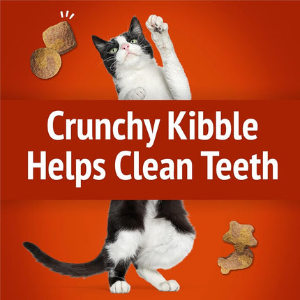 RoamRover Party Mix Adult Cat Treats Extr