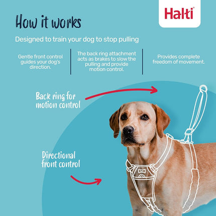 Halti Dog Training Harness, Black