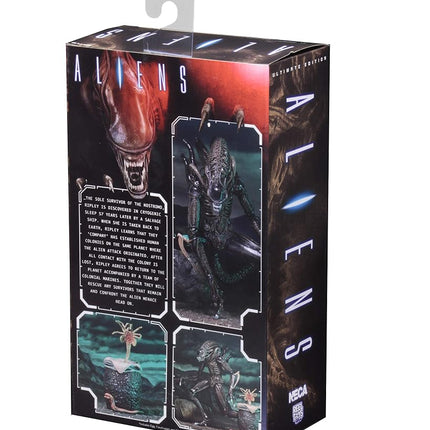 NECA - Alien- 7" Scale Action Figures - Ultimate Warrior - (1986) Brown Alien