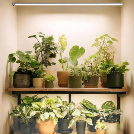 GLOWRIUM Standing Grow Light with Auto-Timer, 36W Vertical Grow Lights for Indoor Plants,3 Light Modes,268 LEDs Detachable Full Spectrum Plant Lights (60 in) (Silver)