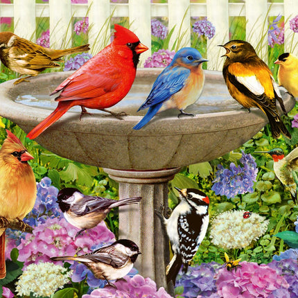 Ravensburger 16793 Bij het Bird Bath Puzzle, Multi